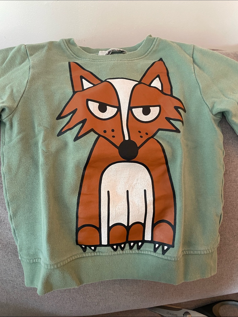Stella McCartney Kids Mint Green Fox Graphic Sweatshirt. Size 5